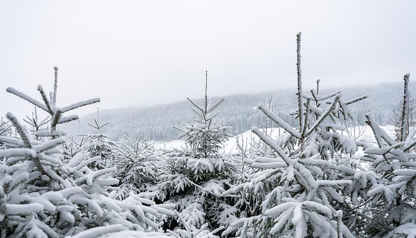 Der Winter will einfach nicht gehen. Der Winter will einfach nicht gehen.