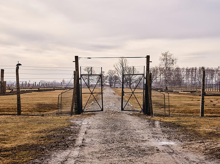 Einst hinderten Z&auml;une und Stacheldraht Gefangene der Nationalsozialisten daran, aus dem Vernichtungslager Auschwitz-Birkenau auszubrechen.