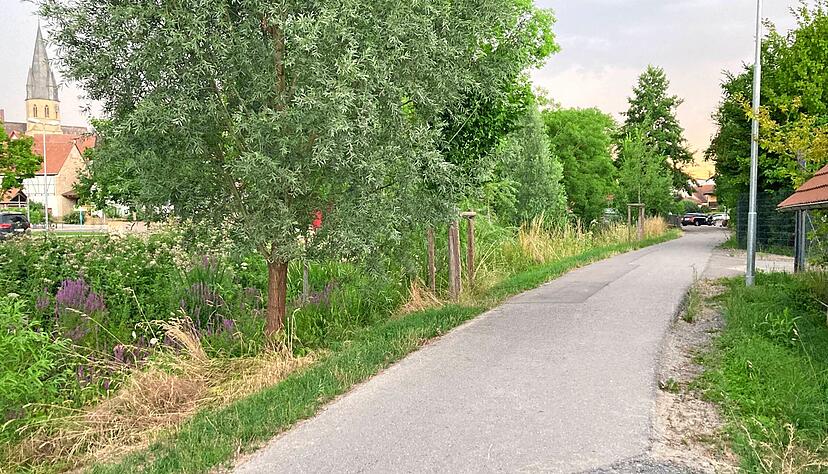 Auf Höher dieser Scheune (am rechten Bildrand) soll künftig der Elsenztal-Radweg nach links in Richtung Altstadtring abbiegen. Dafür ist aber eine neue Brücke über die Hilsbach erforderlich.
Foto: Jörg Kühl Auf Höher dieser Scheune (am rechten Bildrand) soll künftig der Elsenztal-Radweg nach links in Richtung Altstadtring abbiegen. Dafür ist aber eine neue Brücke über die Hilsbach erforderlich.
Foto: Jörg Kühl