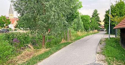 Auf Höher dieser Scheune (am rechten Bildrand) soll künftig der Elsenztal-Radweg nach links in Richtung Altstadtring abbiegen. Dafür ist aber eine neue Brücke über die Hilsbach erforderlich.
Foto: Jörg Kühl