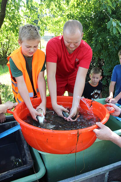 26. August 2015. Jugendfischer aus Widdern zählen und kategorisieren die Fische.