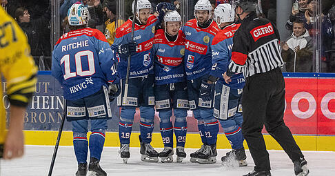Viel zu jubeln hatten die Falken zuletzt. Das 6:1 in Selb war der zwölfte Sieg in Folge.