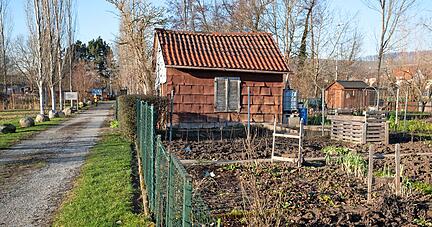 Als der Sulmpark in Willsbach angelegt wurde, wurden auch Parzellen für Hobbygärtner geschaffen. Jede hat einen Wasseranschluss.
Foto: Andreas Veigel