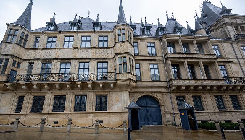 Im Palast werden zum Thronwechsel viele G&auml;ste erwartet. (Archivbild)