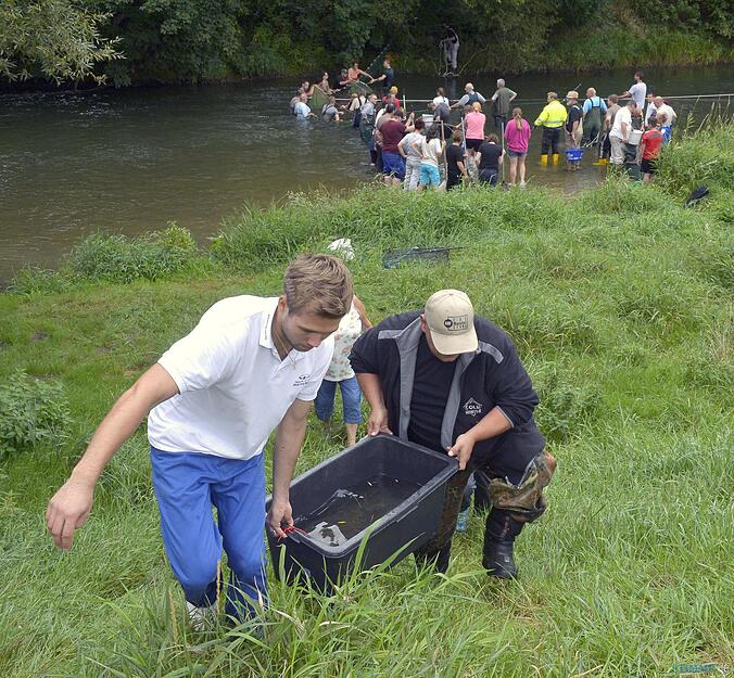 Fischrettung Siglingen | 28.08.2015