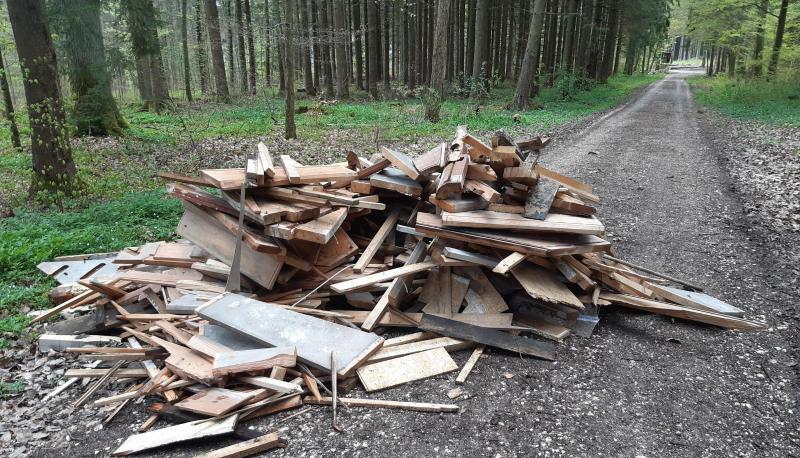 Ein Haufen aus altem Holz liegt auf einem Waldweg.