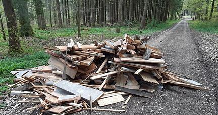 Ein Haufen aus altem Holz liegt auf einem Waldweg.