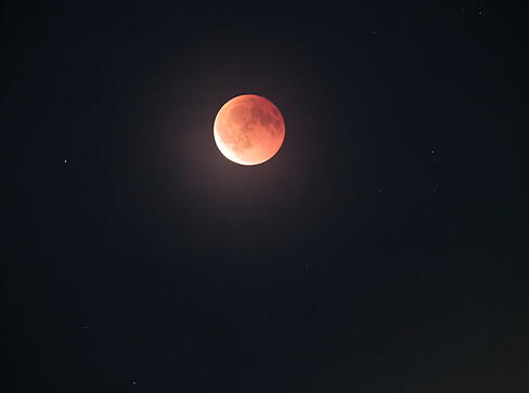 Die totale Mondfinsternis am Sonntagabend begeistert zahlreiche Schaulustige im Raum Heilbronn. Spektakuläre Aufnahmen sind etwa auch in Flein geglückt.
