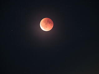 Die totale Mondfinsternis am Sonntagabend begeistert zahlreiche Schaulustige im Raum Heilbronn. Spektakuläre Aufnahmen sind etwa auch in Flein geglückt.