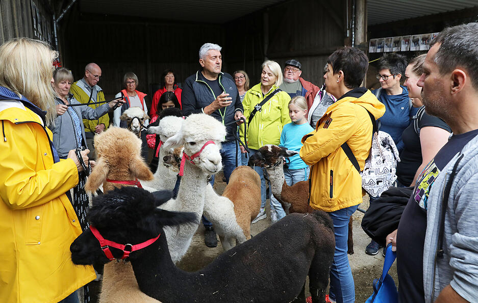 Im Stall erhielten sie Einblicke in die Haltung der Tiere.