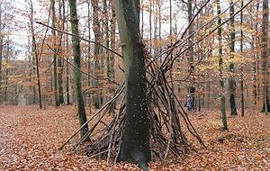 Manchmal kommen Kinder zum Spielen in den Friedwald.