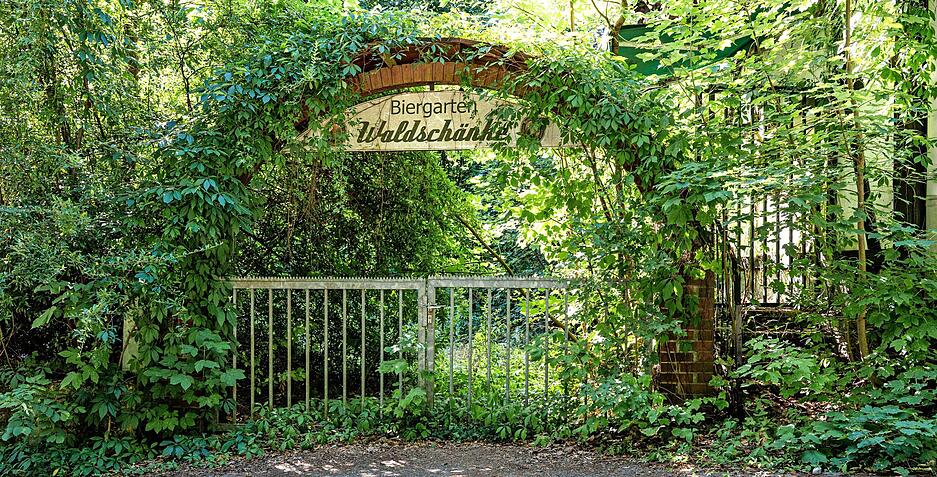 Die Natur nimmt zunehmend Besitz vom Biergartenareal. Aufnahme aus dem Jahr 2022. Die Natur nimmt zunehmend Besitz vom Biergartenareal. Aufnahme aus dem Jahr 2022.