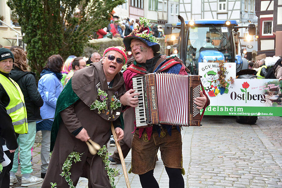 Faschingsumzug in Bad Wimpfen