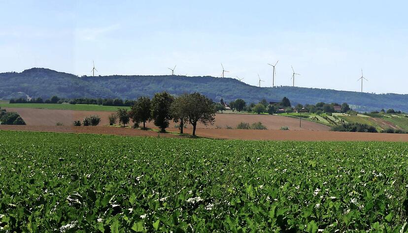 So würden die neun Windkraftanlagen, die südlich von Waldenburg entstehen sollen, aus Blickrichtung Neuenstein aussehen. Visualisierung: Abo Wind So würden die neun Windkraftanlagen, die südlich von Waldenburg entstehen sollen, aus Blickrichtung Neuenstein aussehen. Visualisierung: Abo Wind