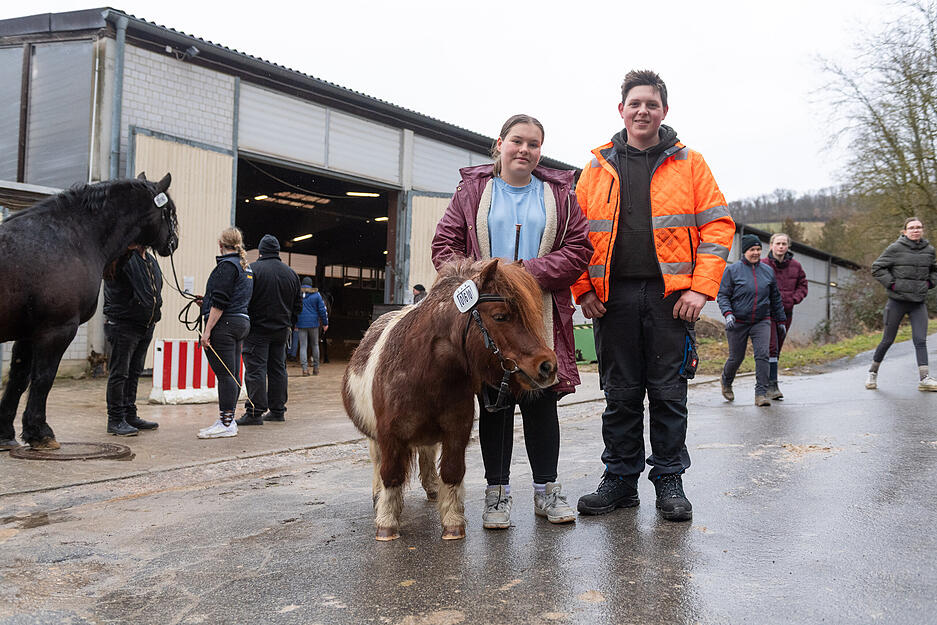 Auch die namensgebenden Tiere findet man auf dem Heilbronner Pferdemarkt.