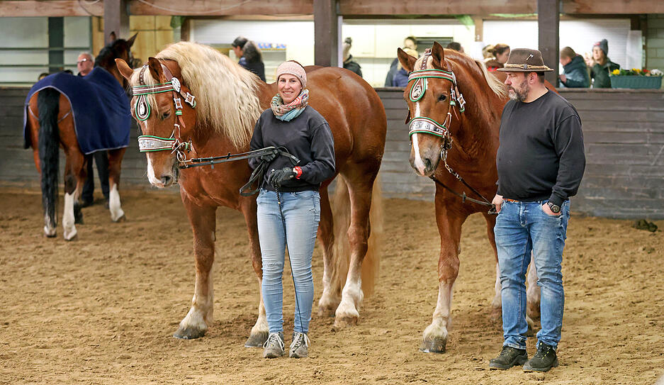 Prämierung beim Heilbronner Pferdemarkt mit 172 Pferden und Ponys