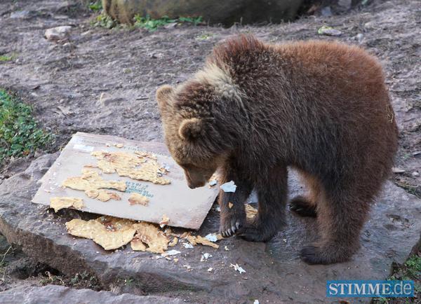 B&auml;rengeburtstag in Tripsdrill | 29.12.