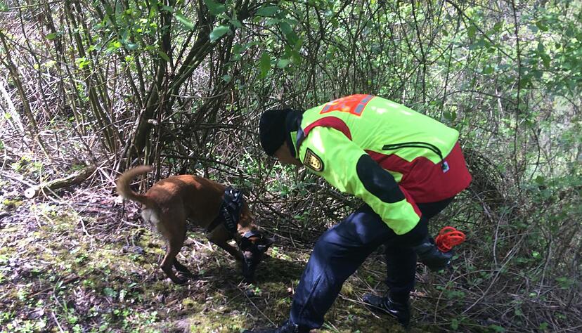 Polizeiaktion in Eschenau | 18.4. Polizeiaktion in Eschenau | 18.4.