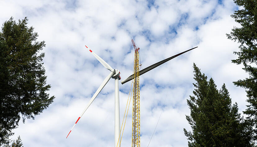 Werden irgendwann Windräder auf den Heuchelberg gebaut so wie hier am Schauinsland bei Freiburg oder nicht?
Foto: dpa