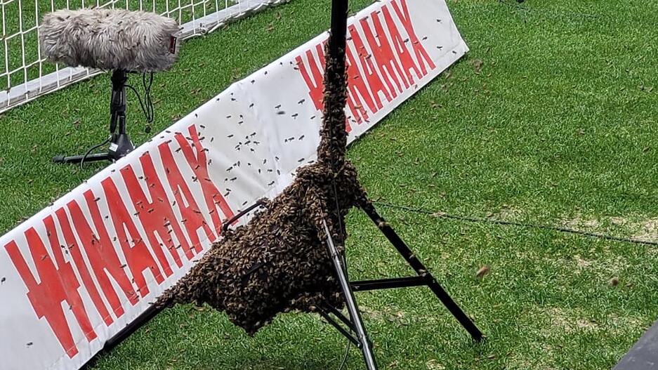 2024-05-04_Bienen_in_MHP-Arena_durch_Feuerwehr_beseitigt_Bildquelle_Feuerwehr_Stuttgart_01