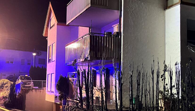 Brand einer Thuja-Hecke in Obersulm-Willsbach.