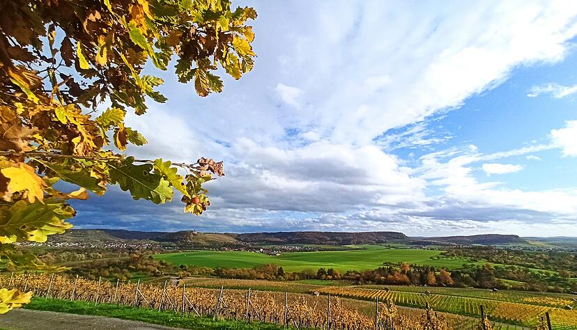 Dass das Bottwartal als Naherholungsgebiet gepriesen und zugleich als Standort einer Deponie erkoren wird, geht f&uuml;r die Kritiker nicht zusammen.