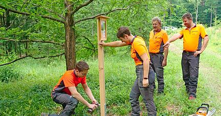 Die Forstwirtschaftsmeister Andreas Winkler (Zweiter von rechts) und Daniel Höfler (rechts) erneuern mit vier Lehrlingen im Arboretum die Informationstafeln.
Foto: Döttling