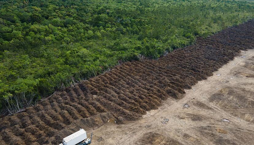 Im brasilianischen Amazonasgebiet sind seit 1985 rund 52 Millionen Hektar Natur verloren gegangen – eine Fläche größer als Spanien. (Archivbild) Im brasilianischen Amazonasgebiet sind seit 1985 rund 52 Millionen Hektar Natur verloren gegangen – eine Fläche größer als Spanien. (Archivbild)