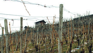 Was als gute Idee gedacht war, ist optisch eine Katastrophe: Müllhalde im Horkheimer Wengert am Neckar-Radweg in Richtung Lauffen. Was als gute Idee gedacht war, ist optisch eine Katastrophe: Müllhalde im Horkheimer Wengert am Neckar-Radweg in Richtung Lauffen.