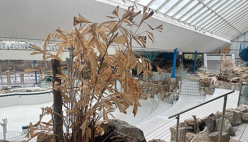 Nicht viel übrig vom Palmenparadies in Neckarsulm Nicht viel übrig vom Palmenparadies in Neckarsulm