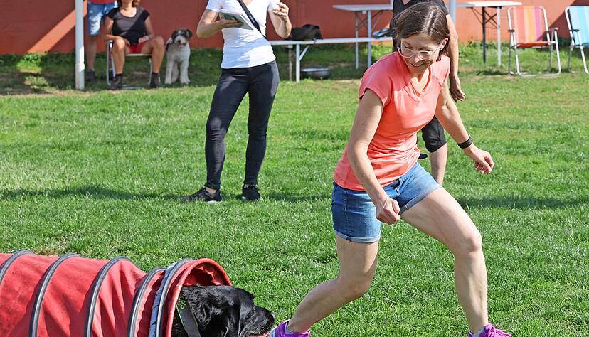 Beim Agility-Training bei Dog Patrol in Flein lernen Hunde Koordination und Selbstbewusstsein. Beim Agility-Training bei Dog Patrol in Flein lernen Hunde Koordination und Selbstbewusstsein.