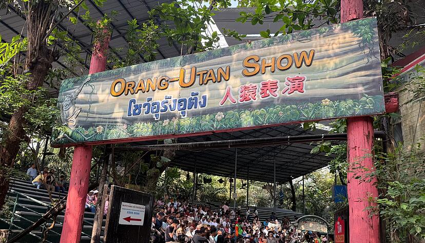 Die Orang-Utan-Shows sind weiter beliebt.