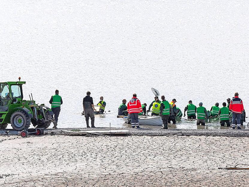 In kräftezehrender Arbeit holten rund 70 Helfer des Fischereivereins im April 2021 mit Schleppnetzen tonnenweise Fisch aus dem Restwasser.