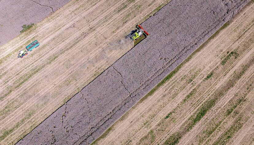 Neben dem Wetter macht den Bauern auch der Druck durch die Marktlage zu schaffen.(Archiv)