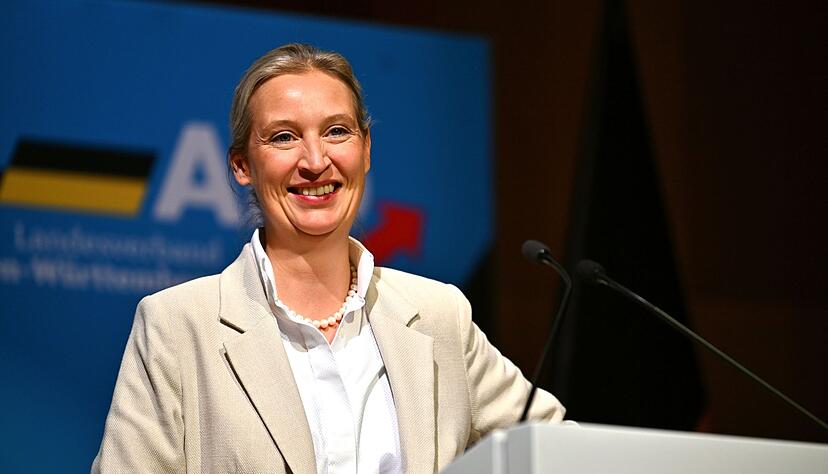 Jahrelang tobte im Landesverband ein Machtkampf zwischen den Anh&auml;ngern und Gegnern von Co-Bundesparteichefin Alice Weidel.
