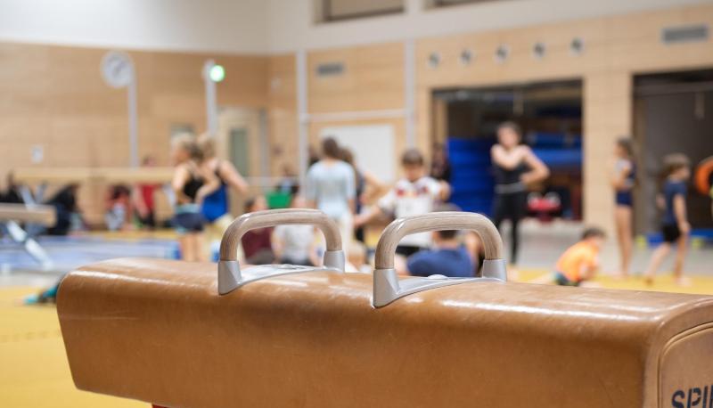 Ein Pauschenpferd steht in der Sporthalle einer Schule. Der Deutsche Sportlehrerverband (DSLV) warnt vor reduziertem Sportunterricht in der Mittelstufe.