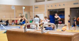 Ein Pauschenpferd steht in der Sporthalle einer Schule. Der Deutsche Sportlehrerverband (DSLV) warnt vor reduziertem Sportunterricht in der Mittelstufe.