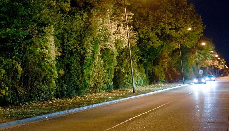 Noch bleibt die Straßenbeleuchtung in Heilbronn nachts an. Noch bleibt die Straßenbeleuchtung in Heilbronn nachts an.