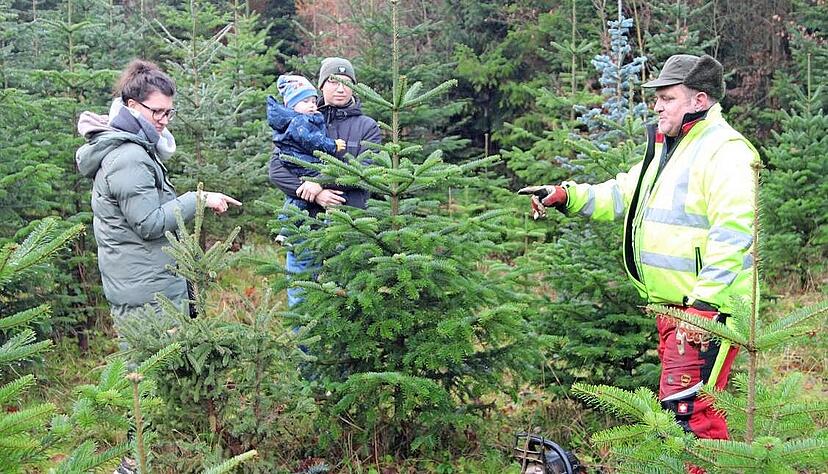 Sabrina Holoubek (links) zeigt, welcher Baum es werden soll. Thorsten Schüle sägt ihn zu.