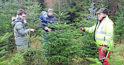 Sabrina Holoubek (links) zeigt, welcher Baum es werden soll. Thorsten Schüle sägt ihn zu.   
Foto: Ralf Schick
