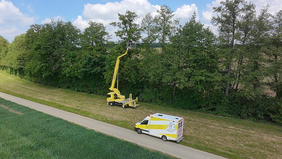 Die Helfer wurden auf die Tiere aufmerksam, nachdem Zeugen am Dobach zwischen Bad Rappenau und Zimmerhof ein totes M&auml;usebussard-Weibchen gemeldet hatten.