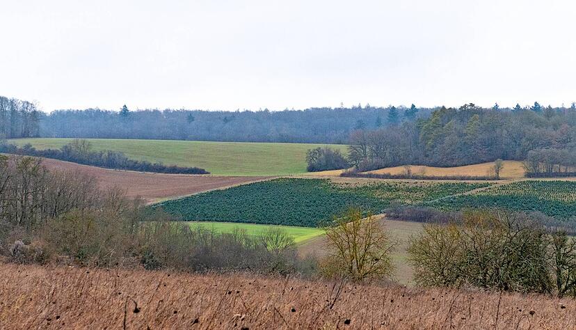 Es könnte das bislang größte Windparkprojekt in Baden-Württemberg werden: Vattenfall will im Waidachswald 22 Windräder aufstellen. Das gefällt nicht jedem.
Foto: Archiv/Berger