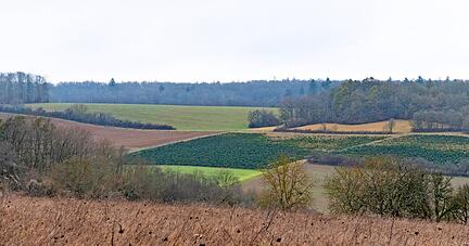 Es könnte das bislang größte Windparkprojekt in Baden-Württemberg werden: Vattenfall will im Waidachswald 22 Windräder aufstellen. Das gefällt nicht jedem.
Foto: Archiv/Berger