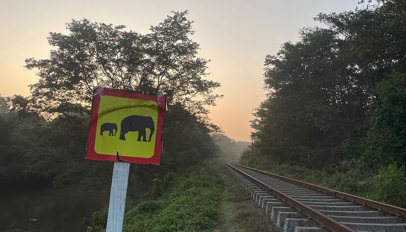 Ein Hinweisschild warnt vor wilden Elefanten. (Foto aktuell) Ein Hinweisschild warnt vor wilden Elefanten. (Foto aktuell)