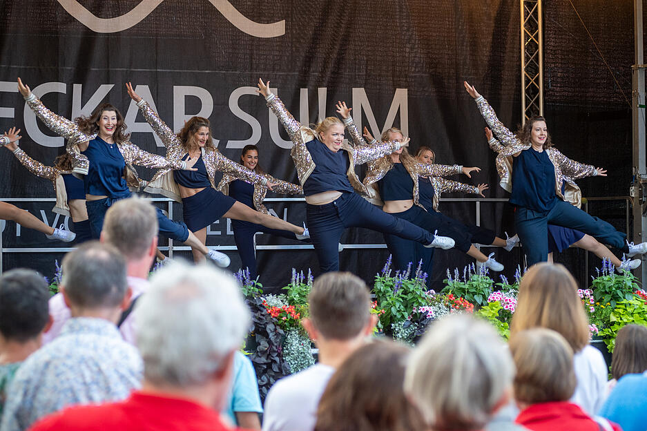 Zahlreiche Besucher strömten zur Eröffnung des 44. Neckarsulmer Ganzhornfests. Das Fest der Vereine ist Tradition in der Gemeinde.