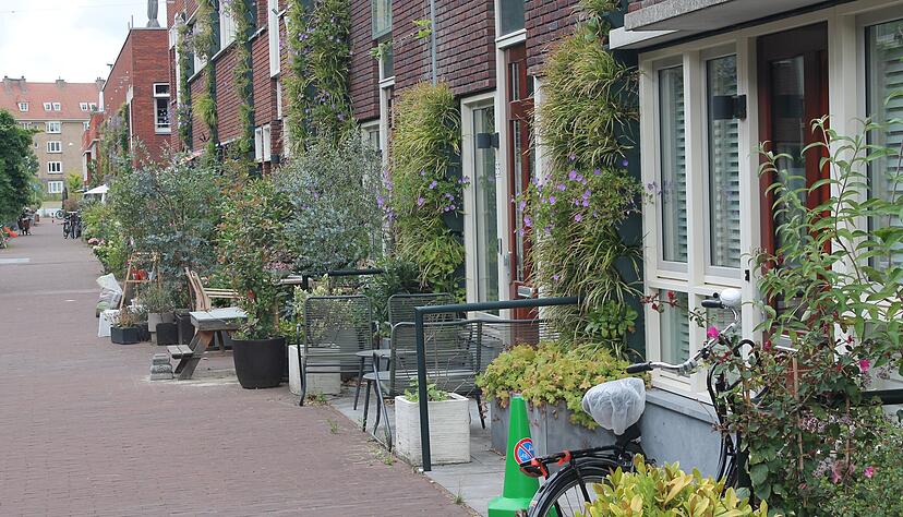 30 Zentimeter öffentliche Gehwegfläche können zu grünen Oasen umgestaltet werden. Die Flächen gibt es kostenlos.