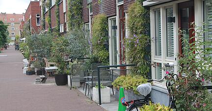 30 Zentimeter öffentliche Gehwegfläche können zu grünen Oasen umgestaltet werden. Die Flächen gibt es kostenlos. 30 Zentimeter öffentliche Gehwegfläche können zu grünen Oasen umgestaltet werden. Die Flächen gibt es kostenlos.