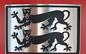 Seit fast 50 Jahren bewährt: das Wappen des Hohenlohekreises.
Foto: Reichert