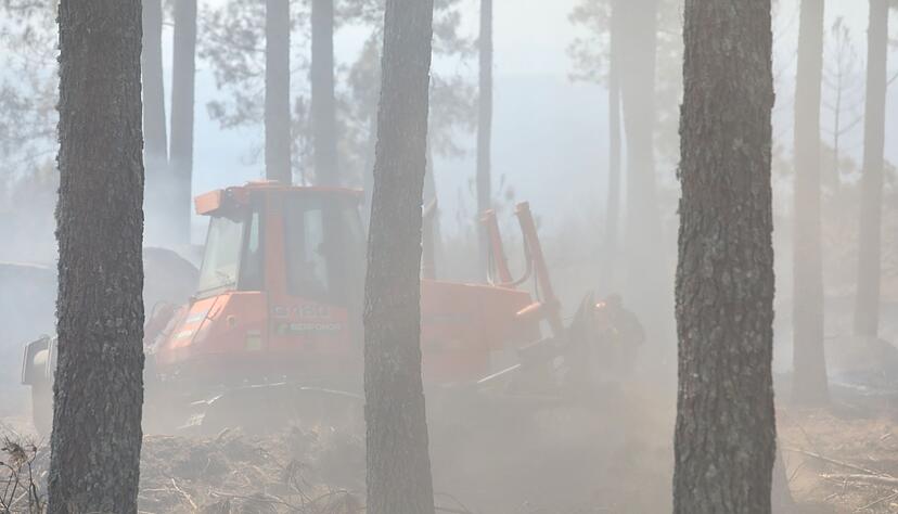 Mit schwerem Gerät wie dieser Planierraupe schlagen Brandbekämpfer Schneisen in die Wälder, um so die Flammen einzudämmen. Mit schwerem Gerät wie dieser Planierraupe schlagen Brandbekämpfer Schneisen in die Wälder, um so die Flammen einzudämmen.