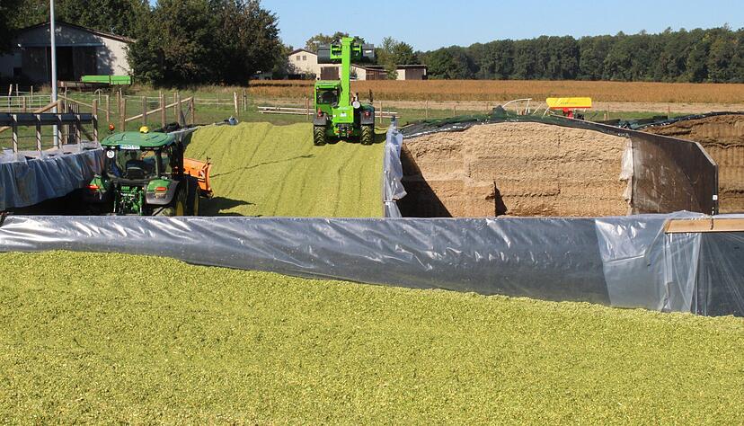 Wenn es viel regnet, gibt es viel Gr&uuml;nfutter: Grassilage in einem Milchviehbetrieb in Ittlingen.
Foto/Archiv: K&uuml;hl